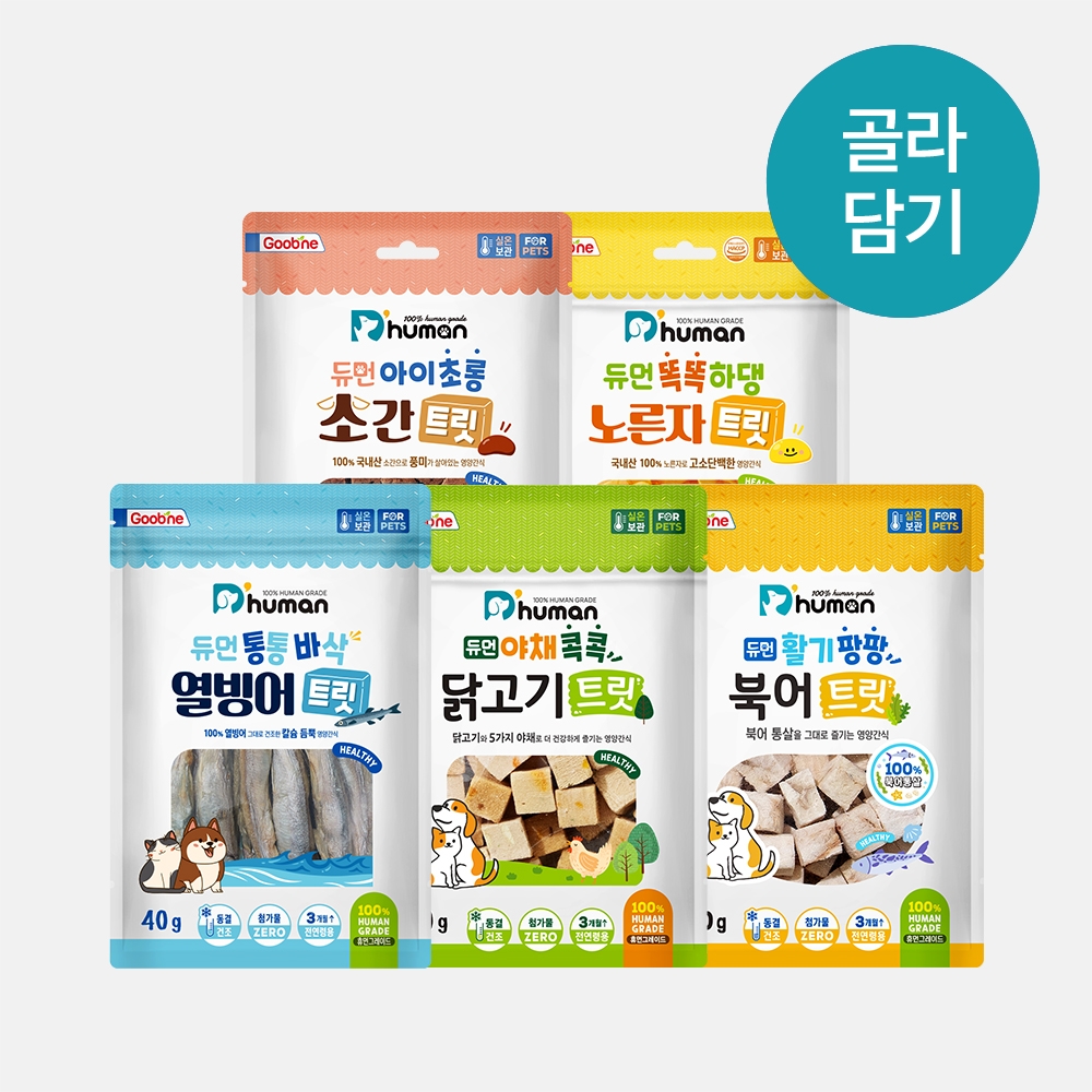 [10월 할로윈특가] 트릿 3팩 골라담기