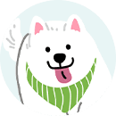 포메라니안 쫑이