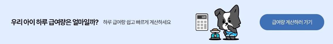 듀먼 알아보기