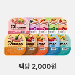 강아지화식 우주최저가 100g 20팩